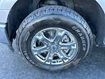 2023 Ford F-150 SuperCrew Cab 4WD Pickup for sale #TG01215 - photo 10
