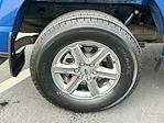 2024 Ford F-150 SuperCrew Cab 4WD Pickup for sale #TG01240CV - photo 14