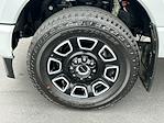 2025 Ford F-350 Crew Cab SRW 4WD Pickup for sale #TG01254CV - photo 12