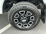 2025 Ford F-350 Crew Cab SRW 4WD Pickup for sale #TG01254CV - photo 13