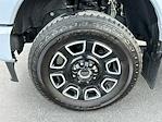 Used 2025 Ford F-350 Platinum Crew Cab for sale #TG01271CV - photo 13