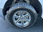 2024 Ford F-150 SuperCrew Cab 4WD Pickup for sale #TG01282CV - photo 14
