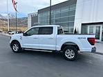 2024 Ford F-150 SuperCrew Cab 4WD Pickup for sale #TG01332CV - photo 11