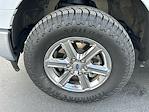 2024 Ford F-150 SuperCrew Cab 4WD Pickup for sale #TG01332CV - photo 13