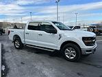2024 Ford F-150 SuperCrew Cab 4WD Pickup for sale #TG01332CV - photo 6