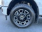 2025 Ford F-350 Crew Cab SRW 4WD Pickup for sale #TG01341CV - photo 13