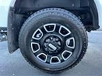 2025 Ford F-350 Crew Cab SRW 4WD Pickup for sale #TG01341CV - photo 15