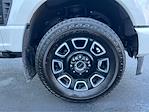 2025 Ford F-350 Crew Cab SRW 4WD Pickup for sale #TG01341CV - photo 16