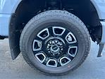 2025 Ford F-350 Crew Cab SRW 4WD Pickup for sale #TG01350CV - photo 15