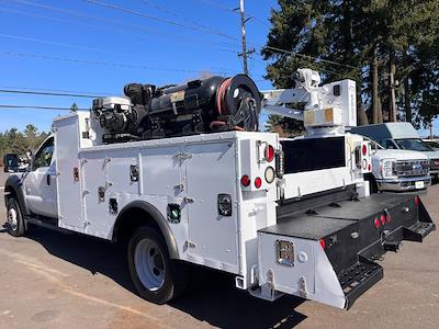 Used 2015 Ford F-550 - photo 1