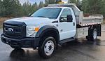 Used 2011 Ford F-450 Regular Cab Cab Chassis for sale #1FDUF4HT6BEC02719 - photo 2