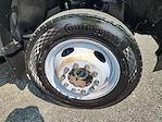 Used 2019 Ford F-550 Regular Cab Landscape Dump for sale #1FDUF5HT0KDA21353 - photo 9