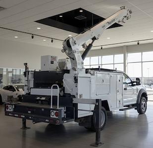 Used 2017 Ford F-550 Regular Cab Cab Chassis for sale #1FDUF5HTXHED72063 - photo 2