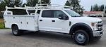 Used 2020 Ford F-550 Crew Cab Cab Chassis for sale #1FD0W5HT0LED35059 - photo 2