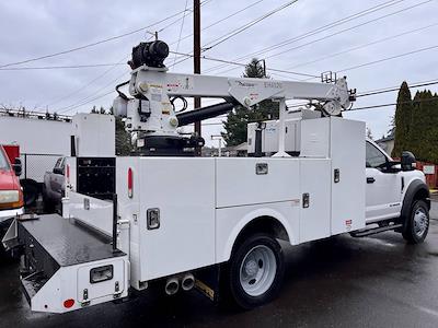 Used 2019 Ford F-550 - photo 1
