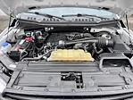 Used 2019 Ford F-150 XL Regular Cab for sale #1FTMF1CB1KKD73946 - photo 17