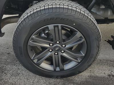 Used 2023 Ford F-150 - photo 1