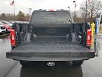 2023 Ford F-150 SuperCrew Cab 4WD Pickup for sale #107375 - photo 3