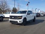 New 2025 Ford F-150 XLT SuperCrew Cab for sale #254281 - photo 3