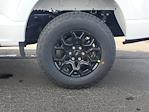 New 2025 Ford F-150 XLT SuperCrew Cab for sale #254281 - photo 5