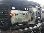 New 2025 Ford F-150 XLT SuperCrew Cab for sale #A62871 - photo 24