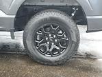 New 2025 Ford F-150 XLT SuperCrew Cab for sale #A76669 - photo 5