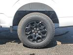 2025 Ford F-150 SuperCrew Cab 4WD Pickup for sale #D11304 - photo 5