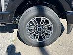 New 2026 Ford F-250 Platinum Crew Cab for sale #N00448 - photo 9