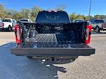 New 2026 Ford F-250 Platinum Crew Cab for sale #N00448 - photo 18