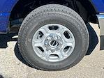 New 2026 Ford F-250 XLT Crew Cab for sale #N00451 - photo 9
