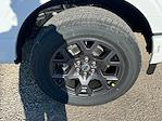 New 2026 Ford F-150 STX SuperCrew Cab for sale #N00581 - photo 10