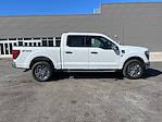 2026 Ford F-150 SuperCrew Cab 4WD Pickup for sale #N00647 - photo 8