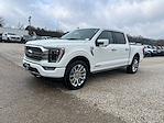 2023 Ford F-150 SuperCrew Cab 4WD Pickup for sale #P00545 - photo 3
