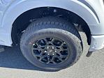 2025 Ford F-150 SuperCrew Cab 4WD Pickup for sale #50557 - photo 10