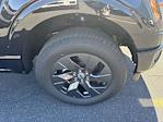 2025 Ford F-150 SuperCrew Cab 4WD Pickup for sale #50625 - photo 10