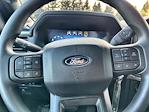 2025 Ford F-150 SuperCrew Cab 4WD Pickup for sale #50661 - photo 24