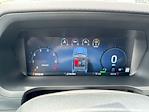 2025 Ford F-150 SuperCrew Cab 4WD Pickup for sale #6621FTFW3LD0SFA64354 - photo 19