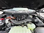 2025 Ford F-150 SuperCrew Cab 4WD Pickup for sale #6621FTFW3LD0SFA64354 - photo 29