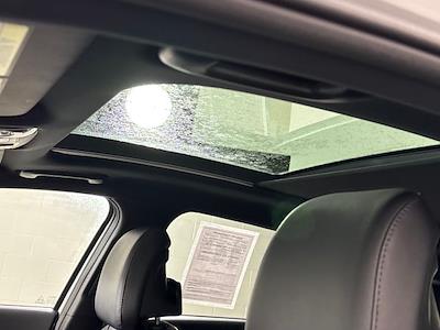 Used 2024 Kia Sportage - photo 1