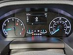 New 2025 Ford Transit 150 Low Roof Empty Cargo Van for sale #250602 - photo 5