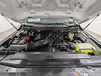 New 2025 Ford F-250 XL Regular Cab for sale #250709 - photo 10