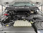 2024 Ford F-150 Regular Cab 4WD Pickup for sale #251029A - photo 11