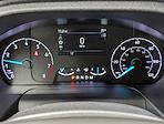 New 2025 Ford Transit 250 Medium Roof Empty Cargo Van for sale #251109 - photo 5