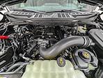New 2025 Ford F-150 XLT SuperCrew Cab for sale #251127 - photo 11