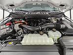 New 2025 Ford F-150 XLT SuperCrew Cab for sale #251142 - photo 10