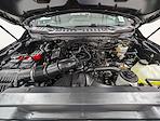 Used 2024 Ford F-250 XL Regular Cab for sale #251347A - photo 10