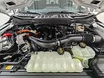 New 2025 Ford F-150 XLT SuperCrew Cab for sale #251528 - photo 10