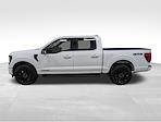 New 2025 Ford F-150 XLT SuperCrew Cab for sale #251529 - photo 3