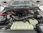New 2025 Ford F-150 XLT SuperCrew Cab for sale #251529 - photo 10