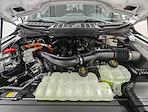 New 2025 Ford F-150 XLT SuperCrew Cab for sale #251601 - photo 10
